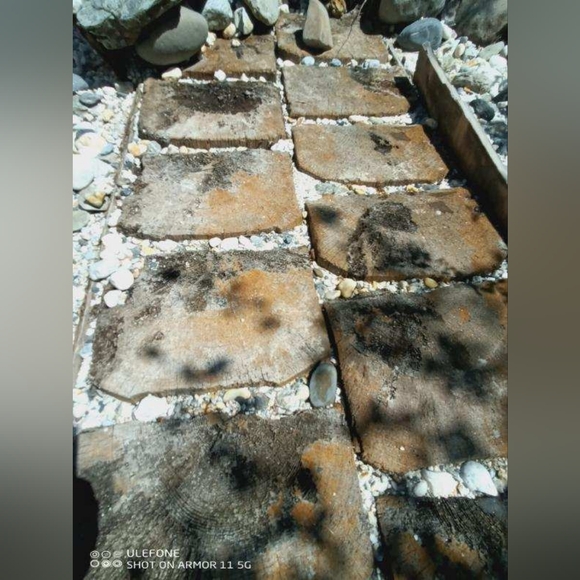 Meet your Posher, Christopher - Picture 6 of 10